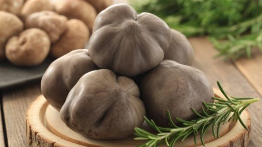 Prix truffe noire au kilo : quelles sont les variations selon la saison et l’origine ?