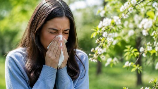 Allergie saisonnière : guide pratique pour choisir les solutions adaptées
